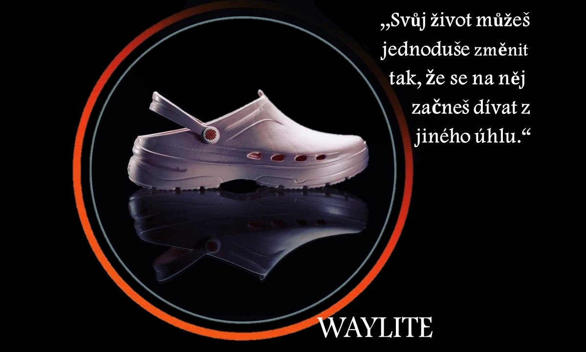 WAYLITE web8.jpg